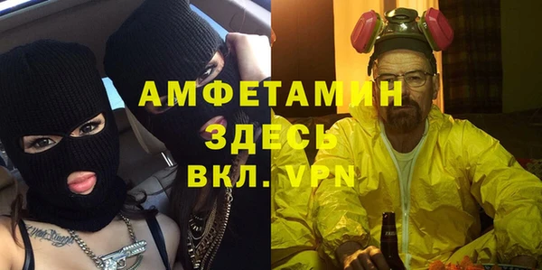 стаф Абинск
